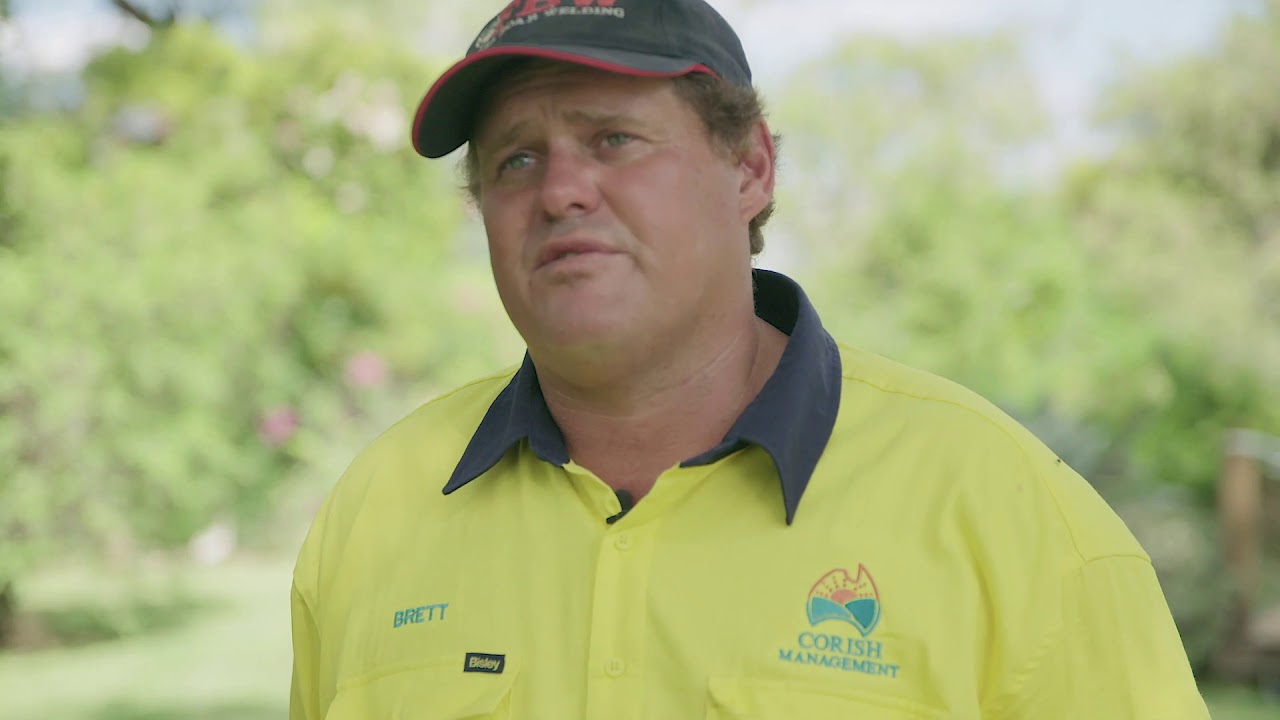Bayer Cotton Grower of the Year, Brett Corish discusses his experience growing cotton