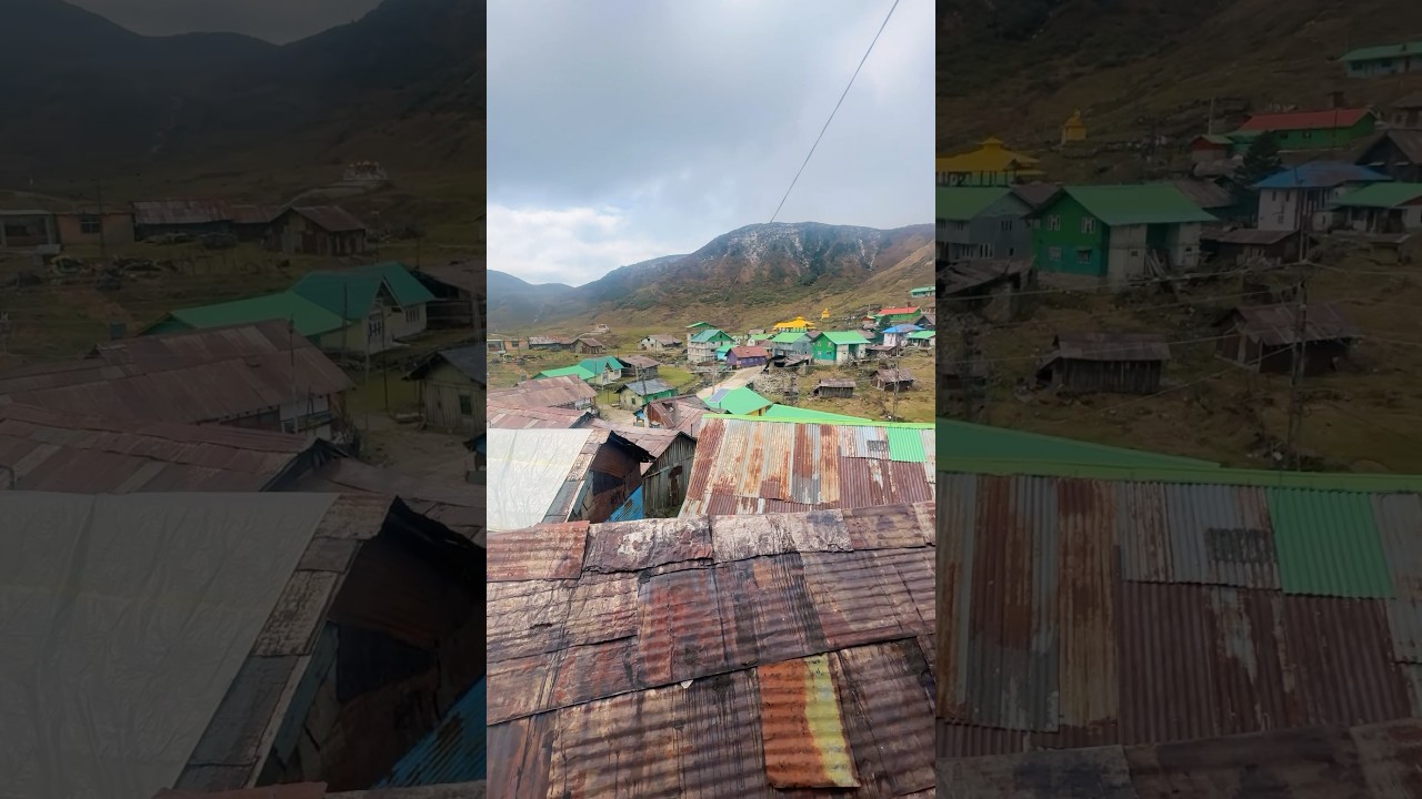 Best homestay in nathang valley east sikkim | #sikkim #ytshorts #travel