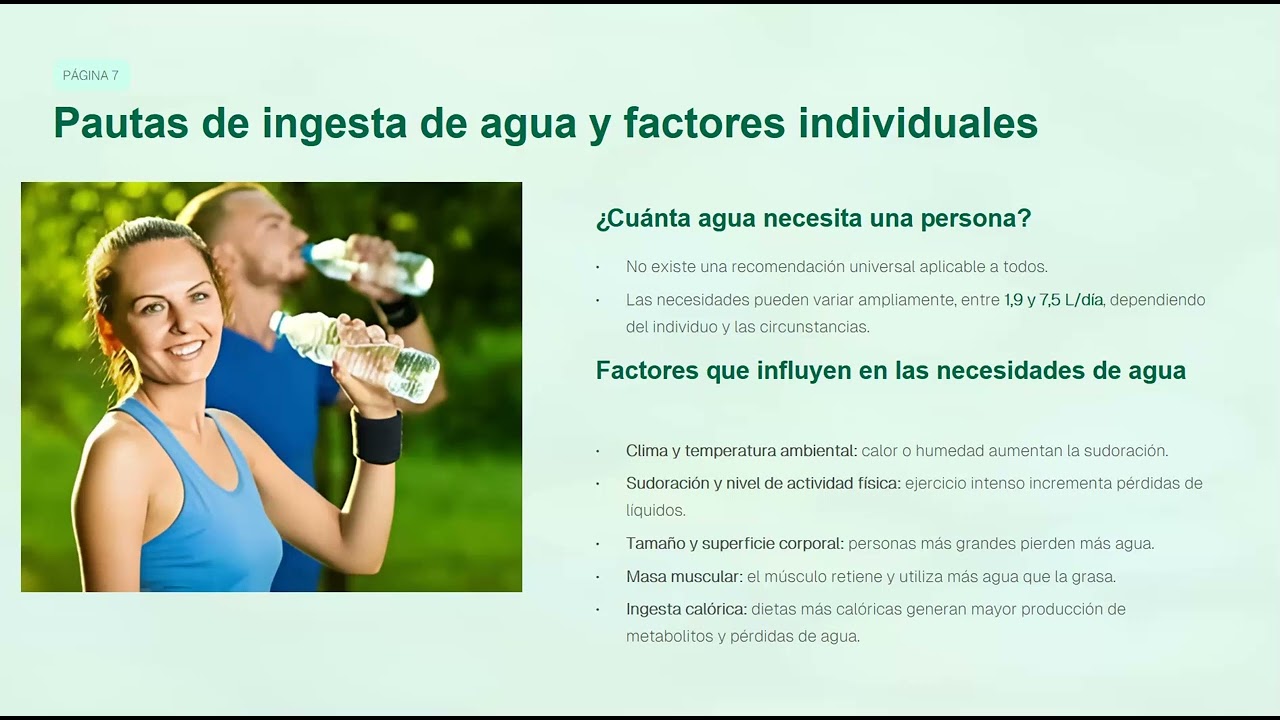Hidratos de carbono – Fuente de energía y recomendaciones PARTE 3