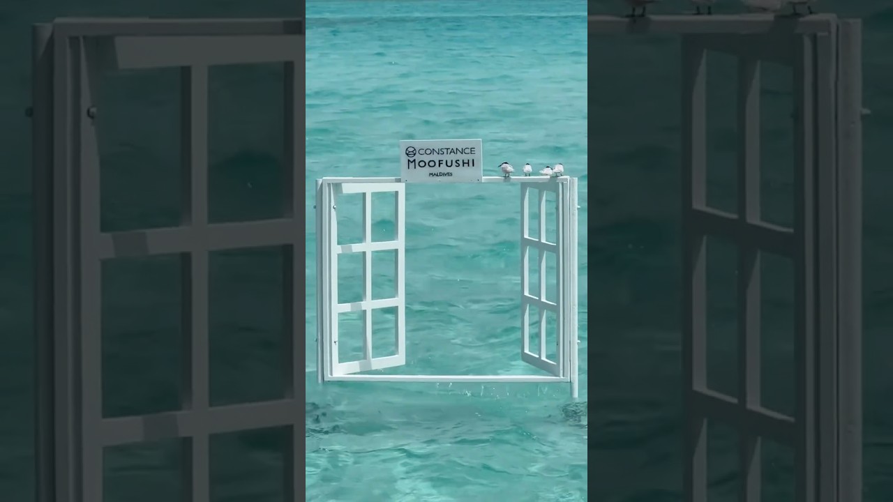 The Way to the Famous Moofushi Window 🌴✨ | Constance Moofushi Maldives