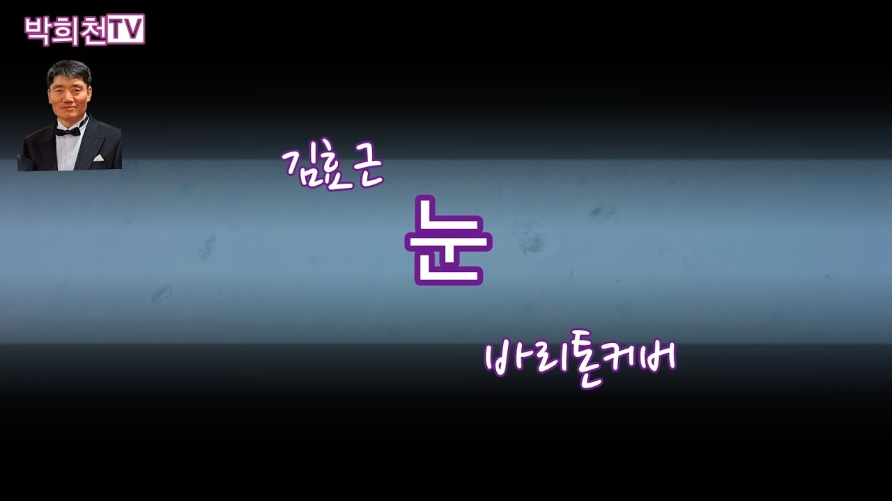 눈(김효근곡) 바리톤커버 