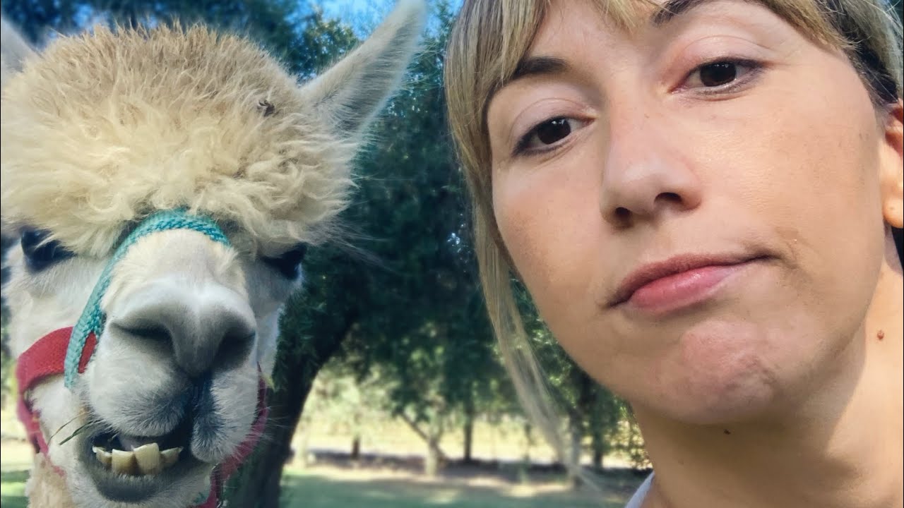Ep 15 - Tra Alpaca, etruschi e castelli - Sarcigno Tour Mollica’s