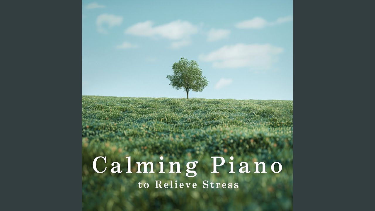 Soothing Haven Tales
