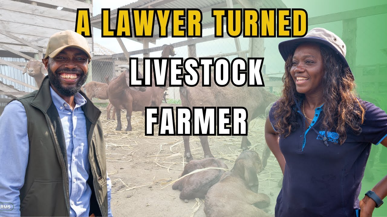 Meet the LIBERIAN LIVESTOCK FARMER Who's REVOLUTIONIZING Livestock Farming in Her Country