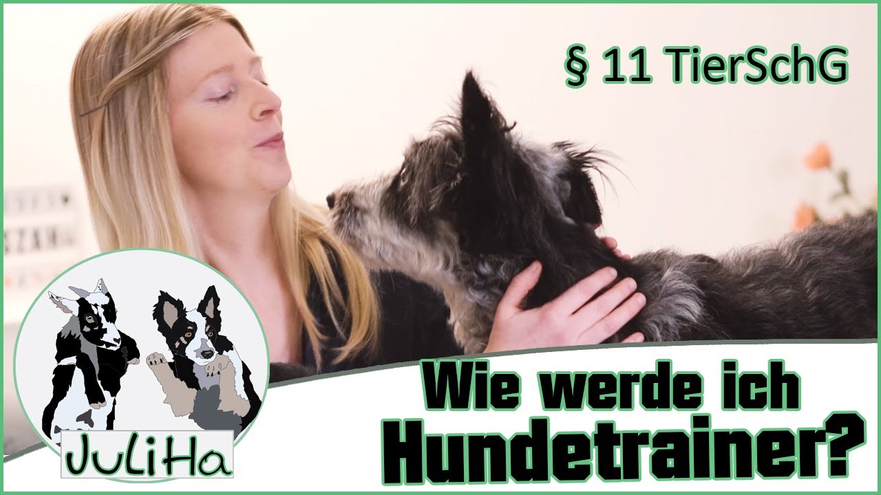 Wie werde ich Hundetrainer? - § 11 TierSchG [Folge 1 - JuliHa]