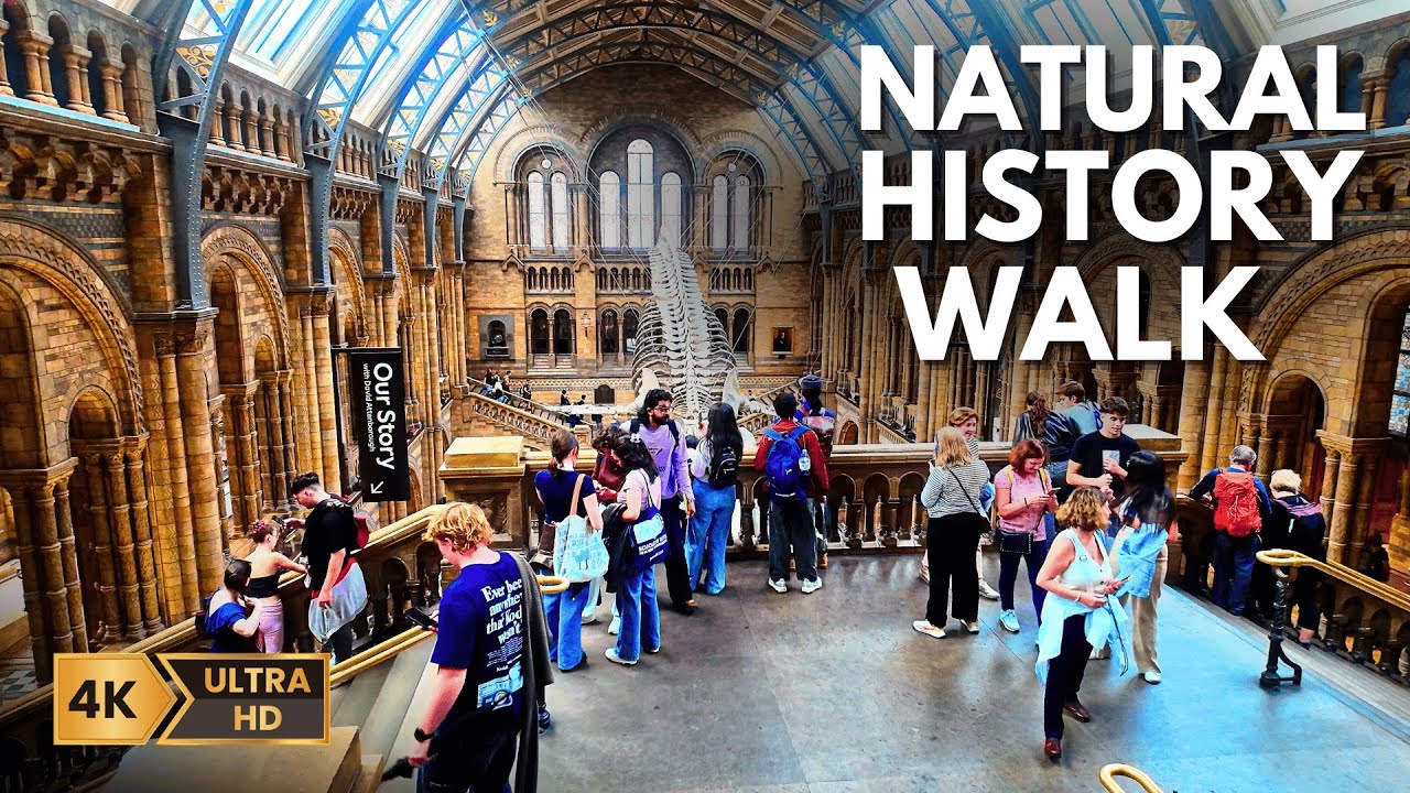 London Walk 4K  🇬🇧 | Inside West London’s Natural History Museum