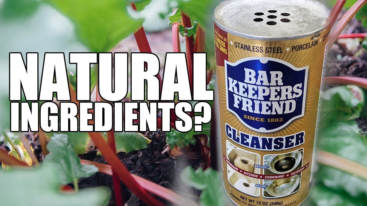 Bar Keepers Friend Ingredients  | Natural or Not?