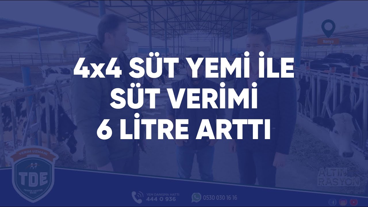Neden 4x4 süt yemi?
