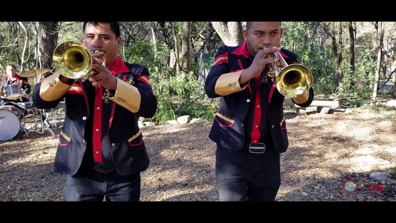 [ESTRENO 2018] EL TIGRE Y SU BANDA TIERRA NUEVA (EL DINERO Y LAS MUJERES)