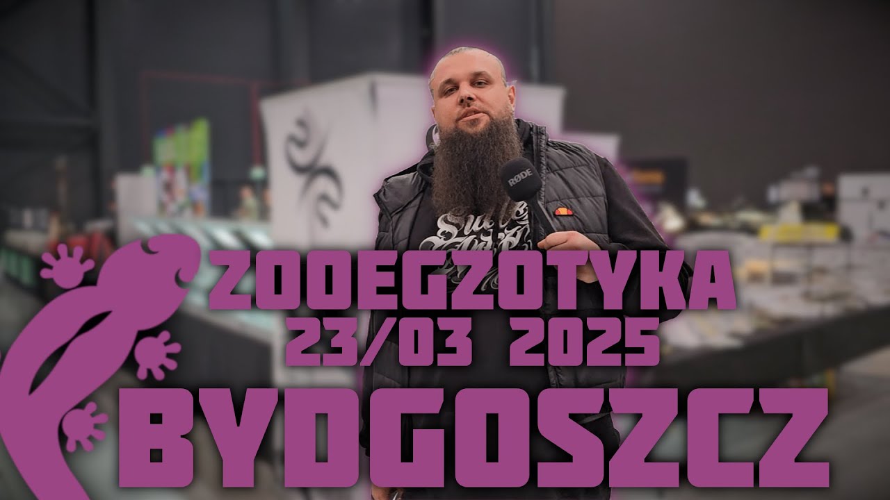 ЗооЭгзотика в Быдгоще? Не сомневайтесь, мы идем!