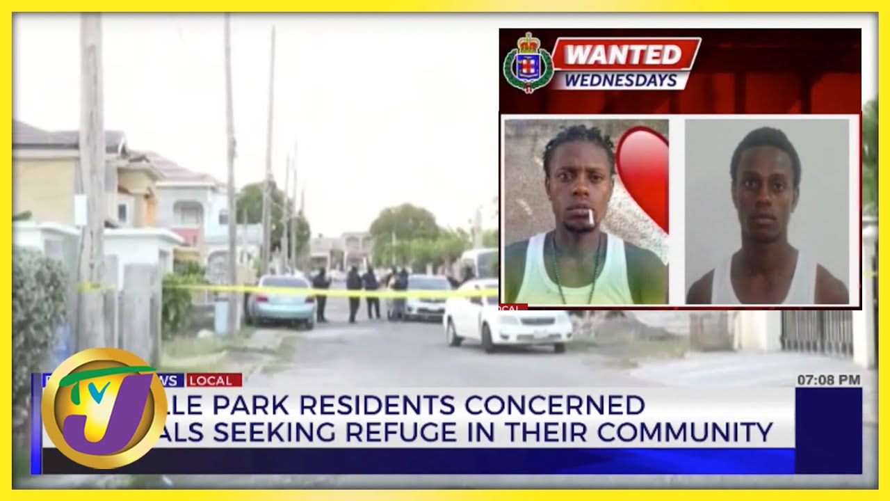 Longville Park Residents Concerned Criminals Seeking Refuge in their Community | TVJ News
