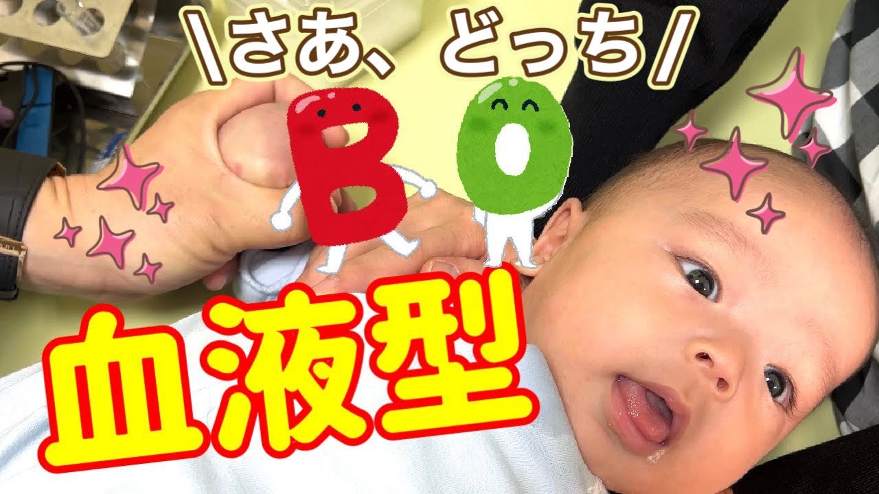 【血液型は!?】いよいよかぶくんの血液型がわかります😆✨
