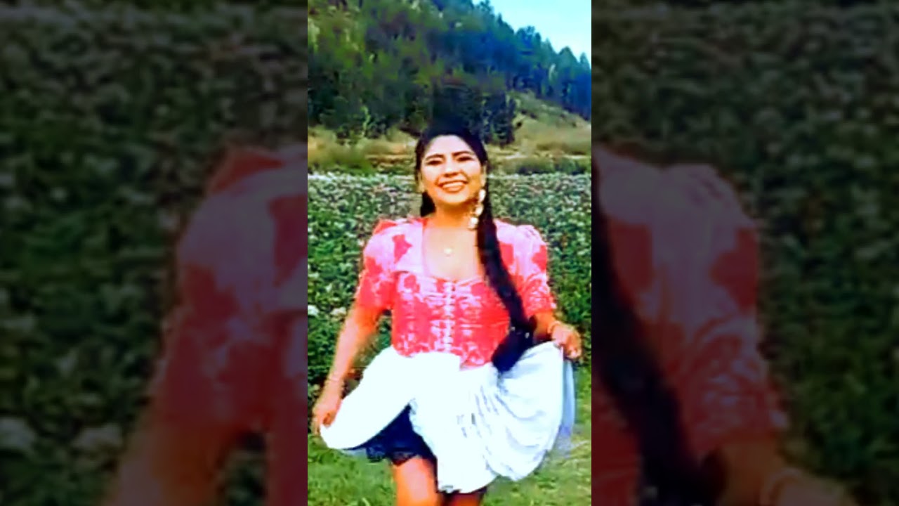 Melodias andinas de Bolivia
