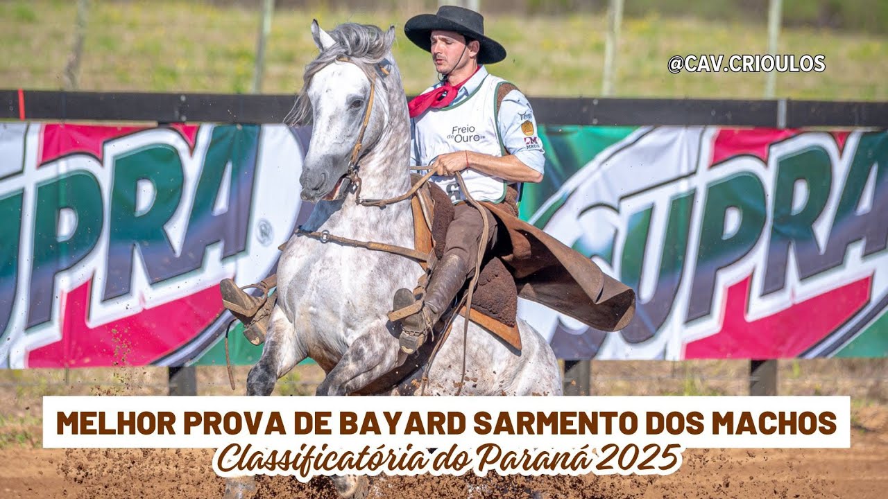Julito da 3J • Melhor Prova de Bayard/Sarmento dos Machos na Classificatória do Paraná 2025 