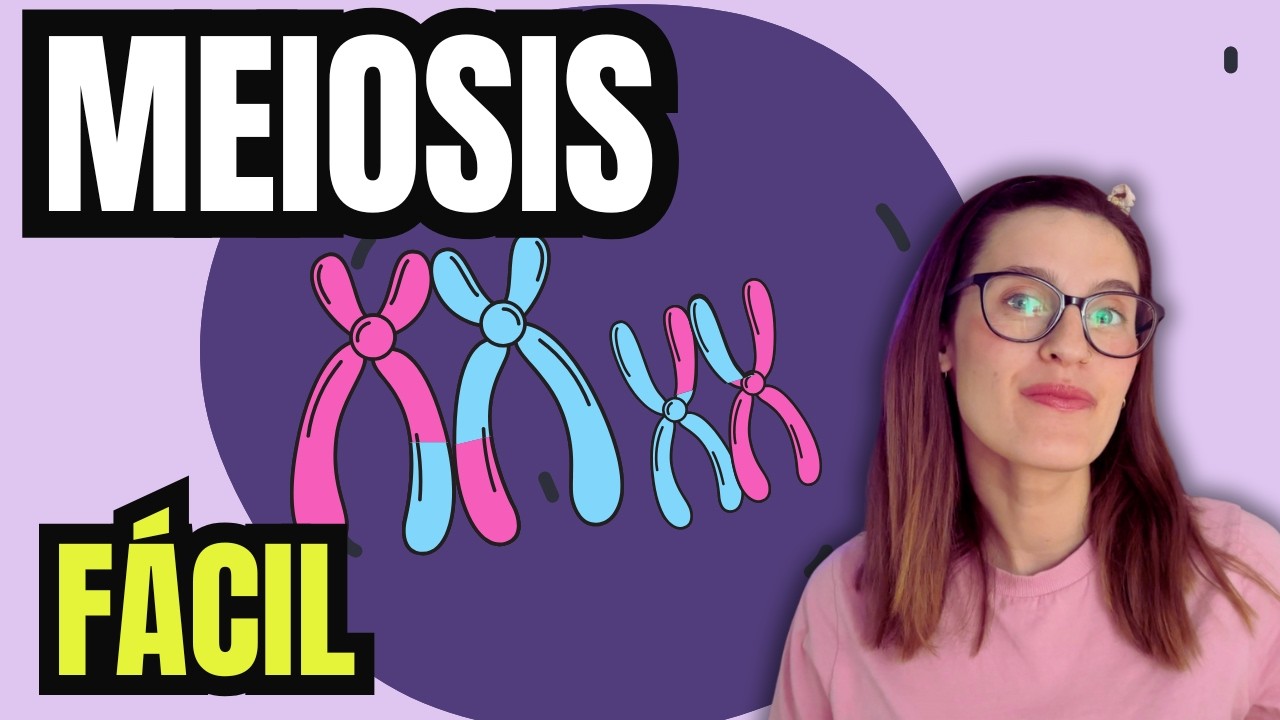 MEIOSIS paso a paso 🧬| Etapas y trucos fáciles para entenderla