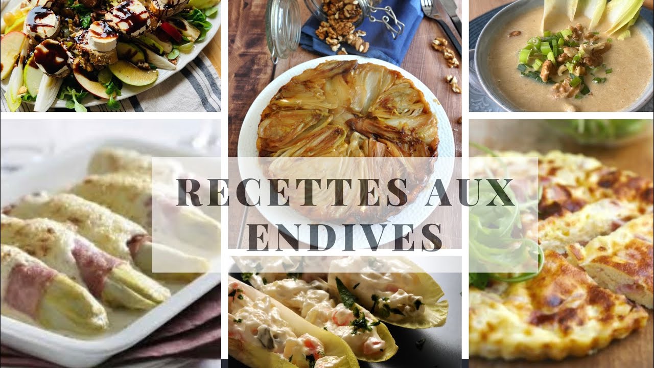 Endives 🥬Compilation de recettes délicieuses