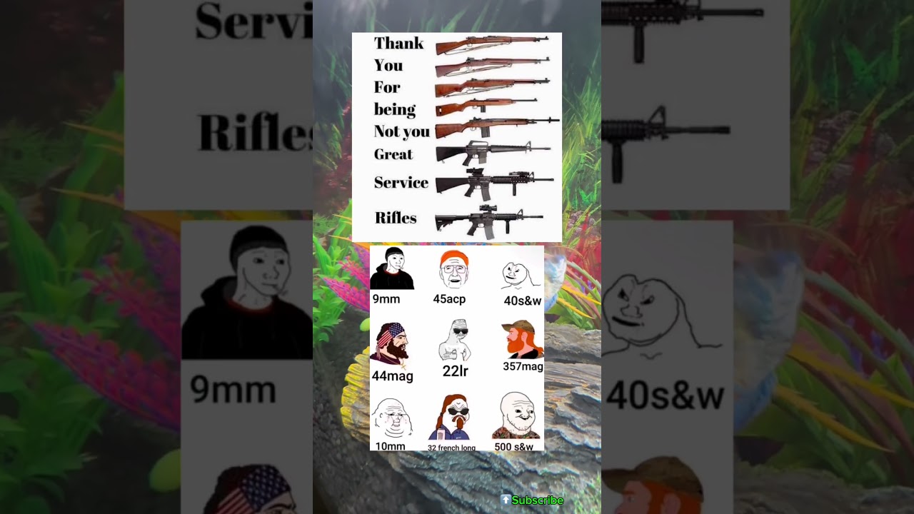 The Worst US Military Service Rifle