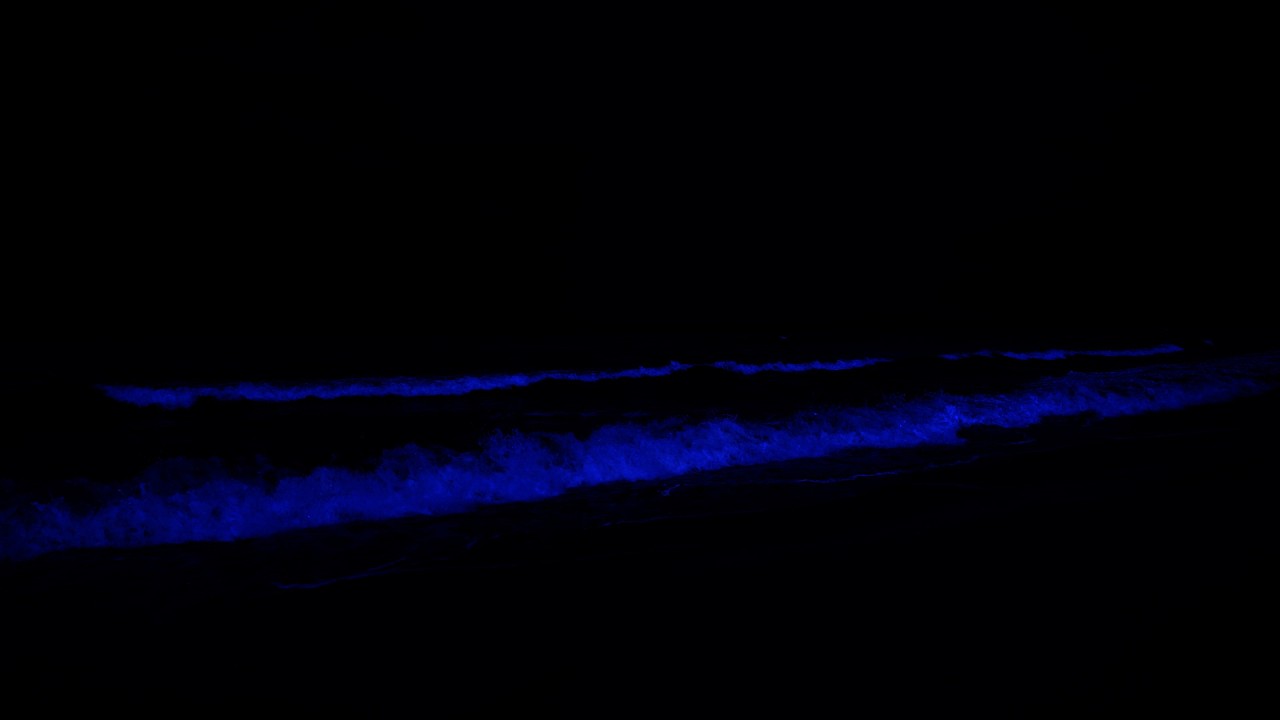 Rilassa la mente, dormi profondamente 💤 Onde tranquille dell'oceano per superare stress e ansia