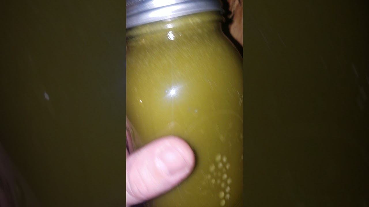 Cannabis Honey
