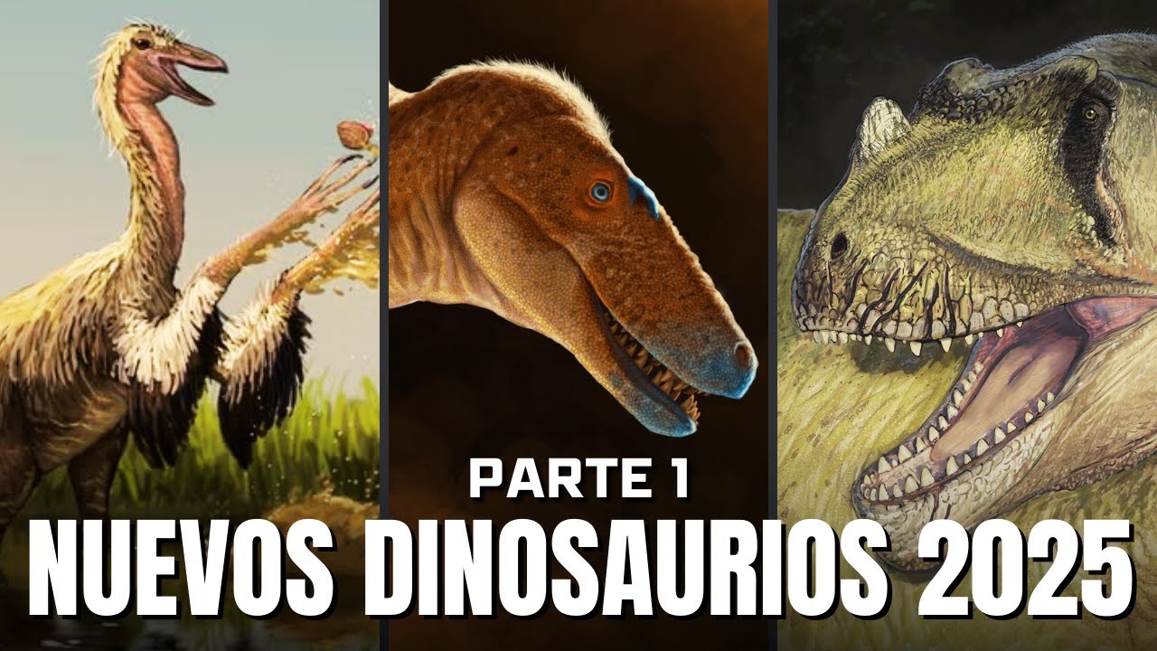 Estos son TODOS los dinosaurios descubiertos en 2025 | Parte 1