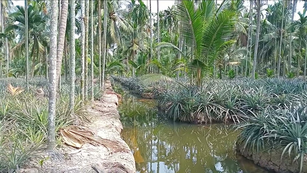 7 tháng 2, 2026