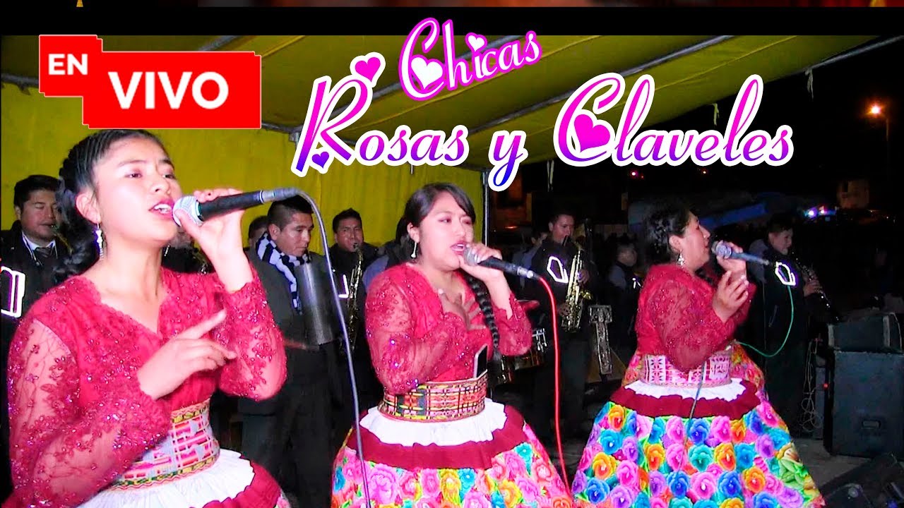 LAS CHICAS ROSAS y CLAVELES // MULLACA 2020