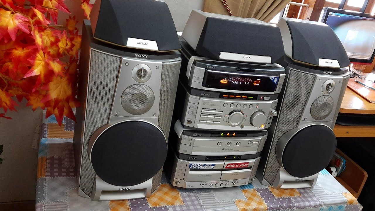 SONY MHC-W555
