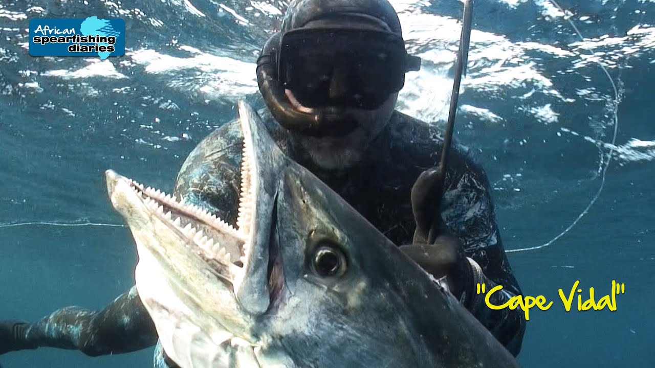 Spearfishing South Africa ASD- 