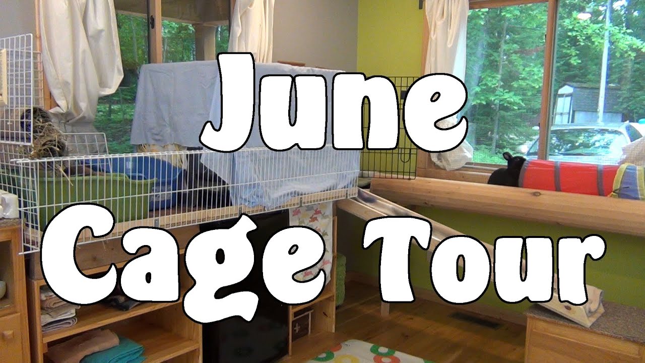 June Cage Tour '14