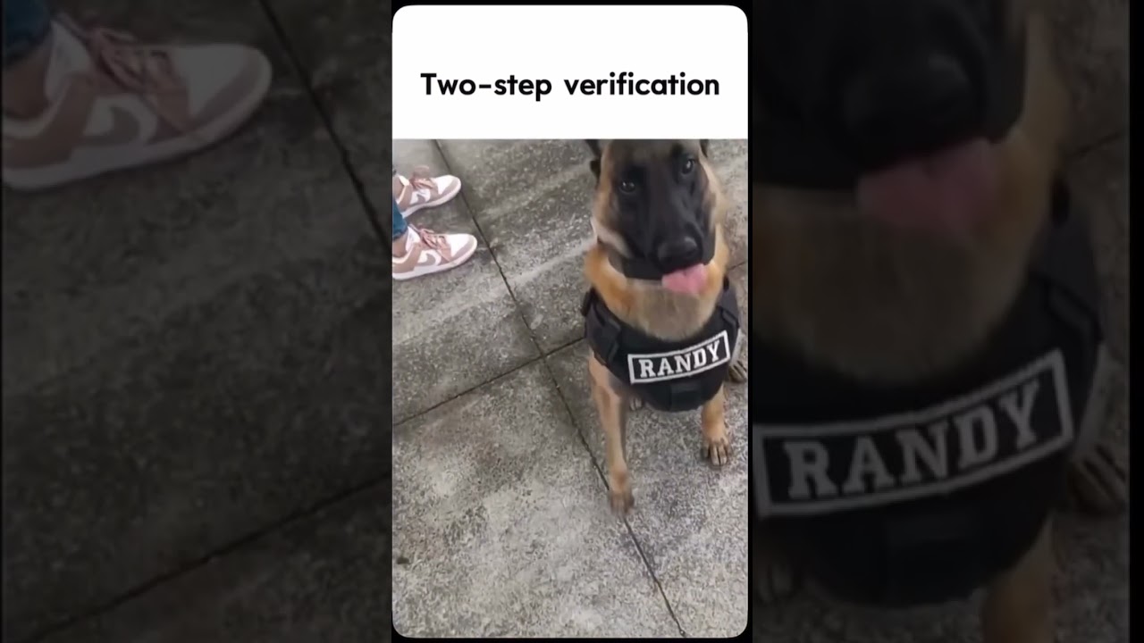 #police #dog #funny #meme #viralshorts #fyp #viralvideo #twostepverification