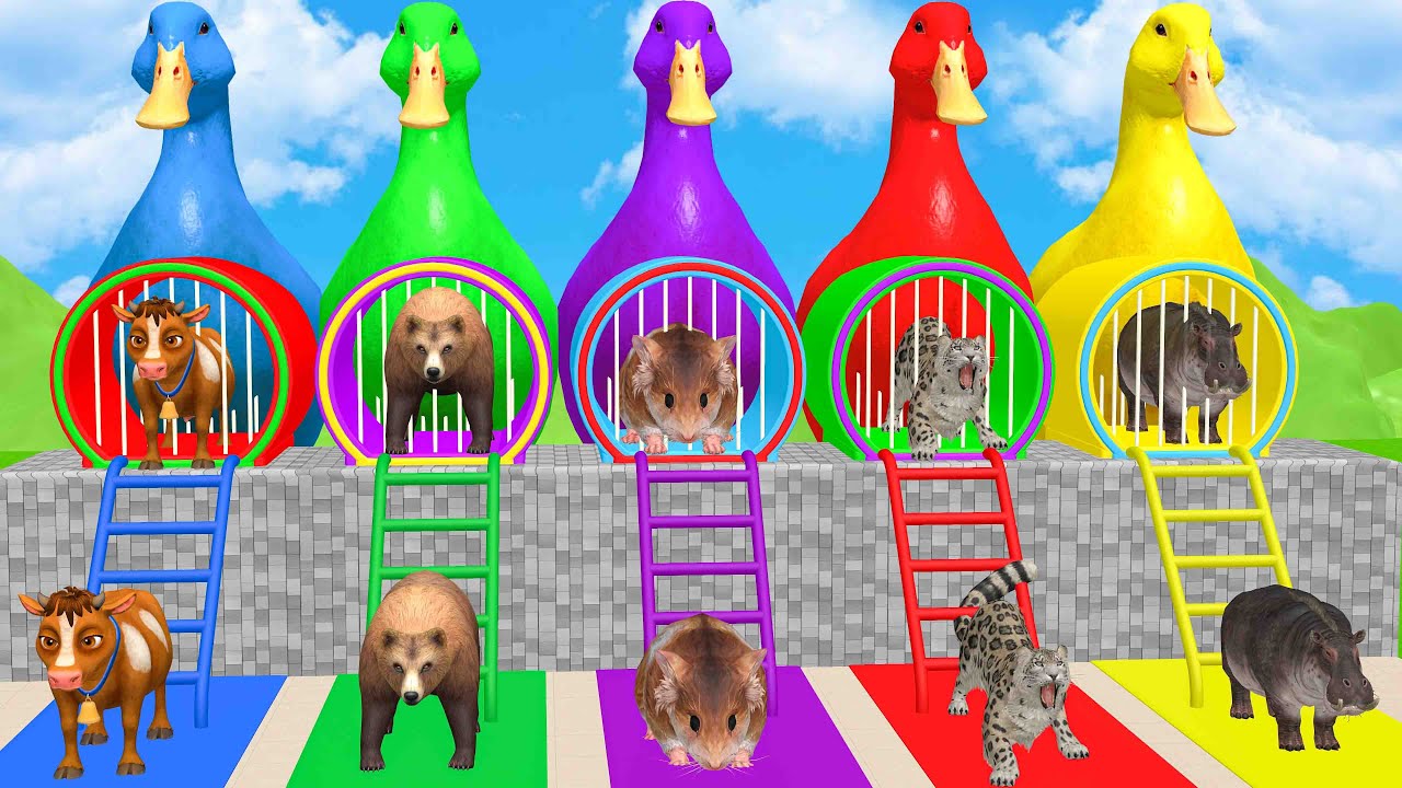 Long Slide Game With Cow Elephant Gorilla Hippopotamus Tiger 3d Animal Game Funny 3d Animals