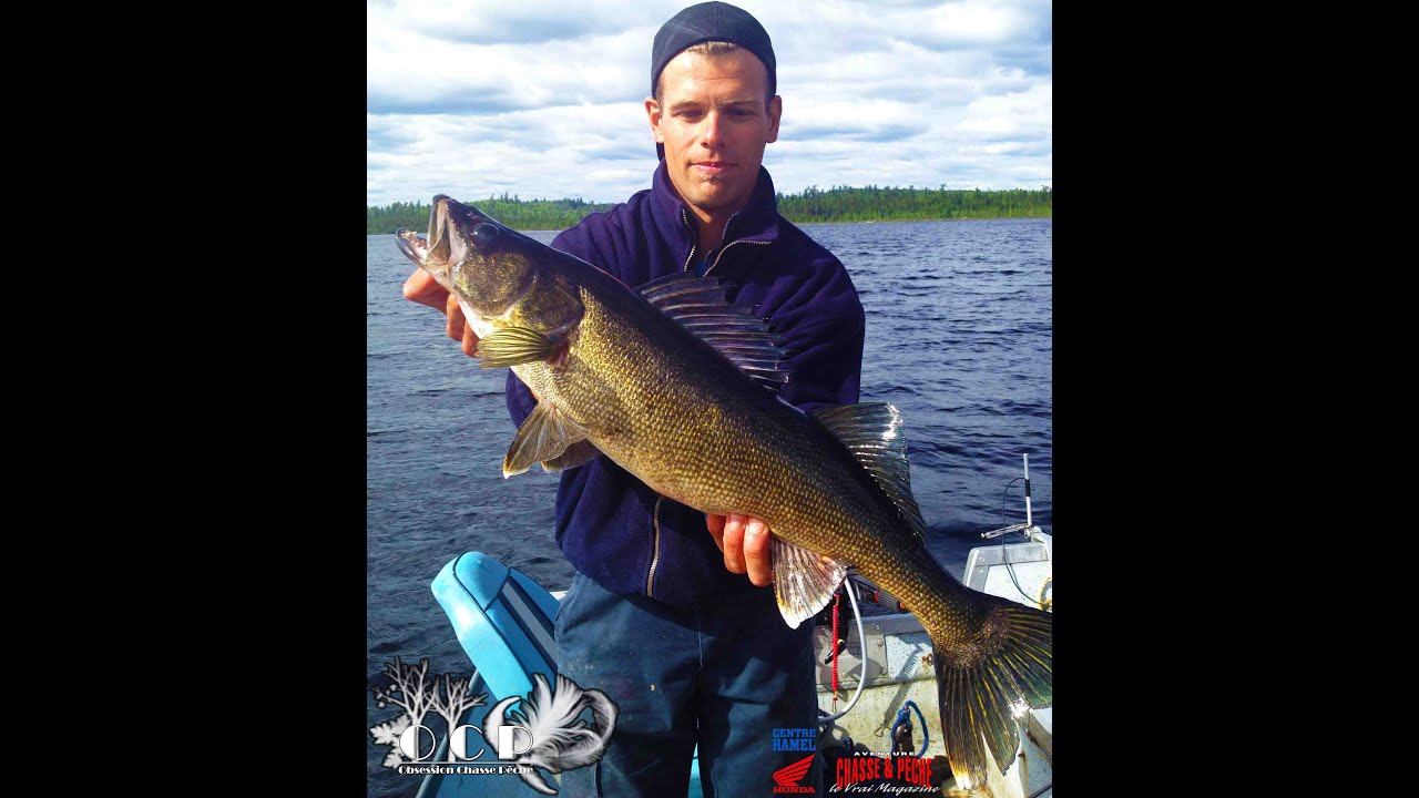 Pêche au gros doré à la pourvoirie Domaine Shannon / Big Walleye fishing at Domaine Shannon