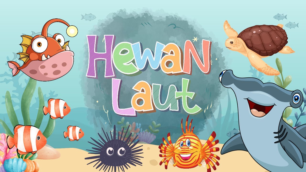 Yuk Belajar Mengenal Hewan Laut|Lengkap Dengan Penjelasan Sederhana|Video Edukasi Anak