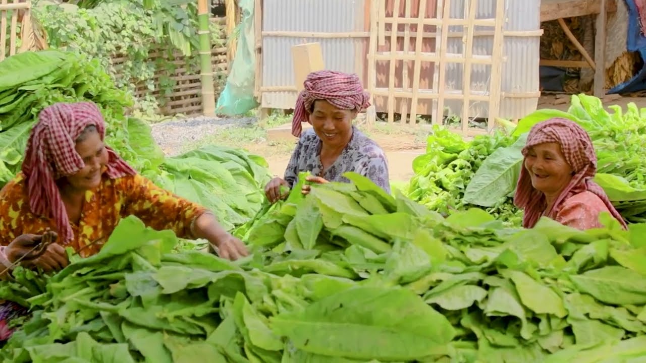 Cultural practices and expressions linked to Krama, a traditional woven textile in Cambodia