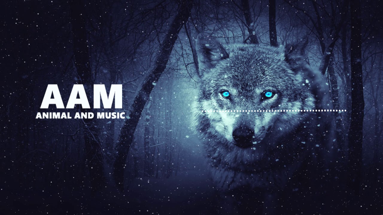 JJD & Seidko - Sounds Like