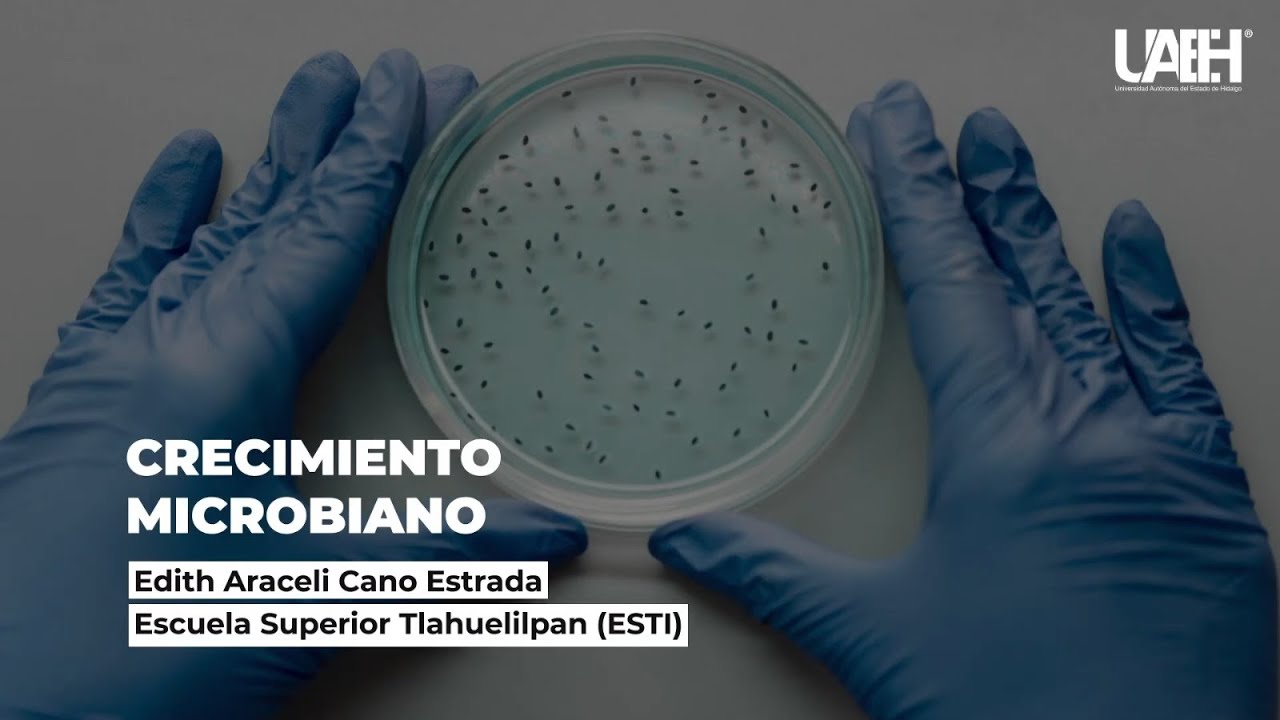 Crecimiento Microbiano