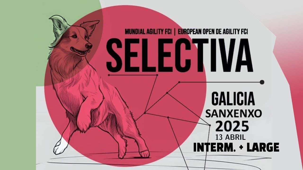 SELECTIVA AWC & EO AGILITY 2025 - INTERMEDIATE & LARGE (Domingo 13 - Sanxenxo - Galicia)