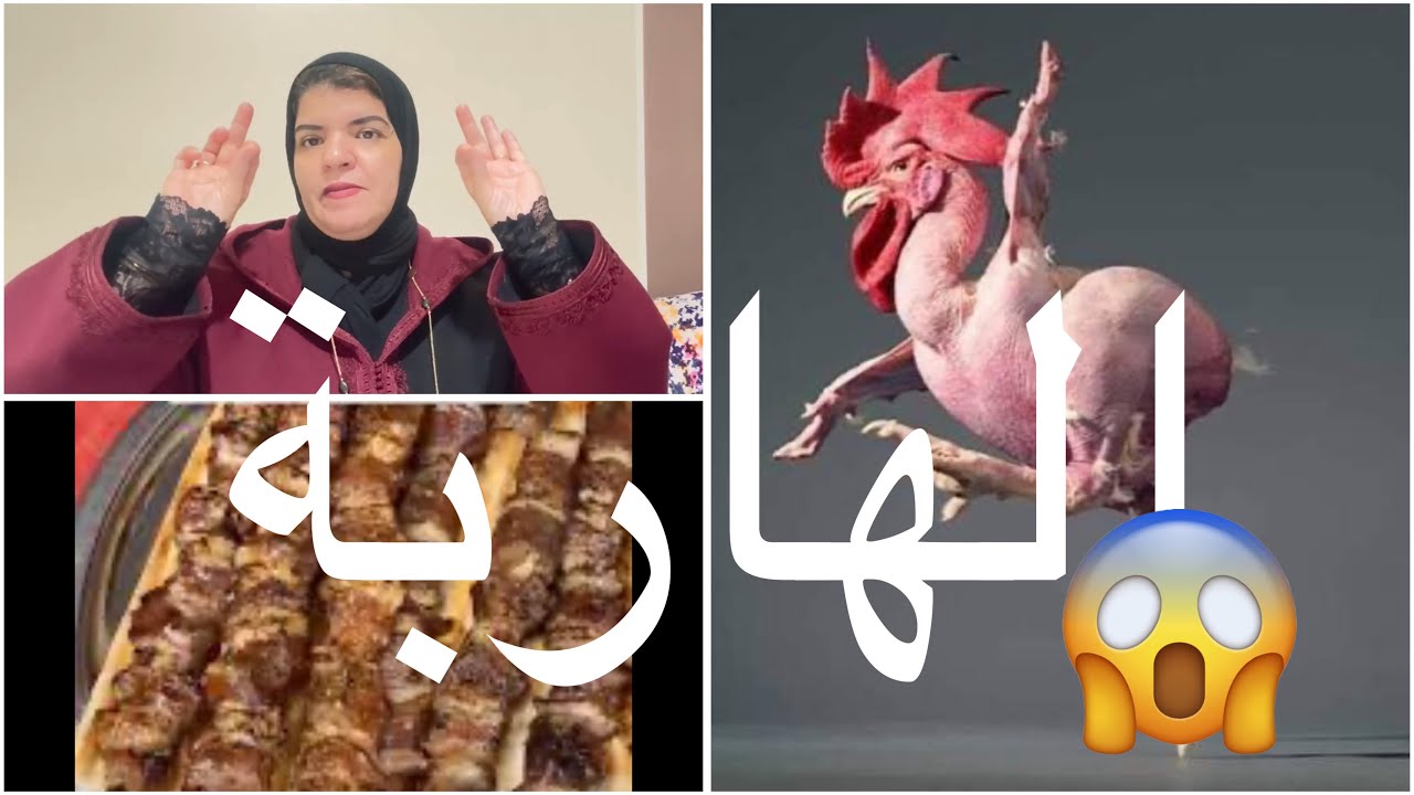 جوابك امولات المداخلة الهاربة 💣💣من عند لالاك  اسمر المكناسية 👌انت وسنان الميكة مو 🐔😂😂