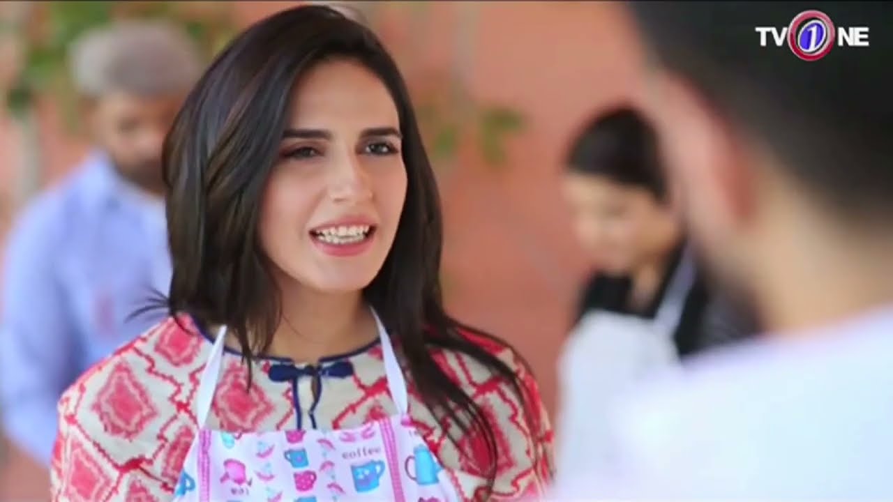 Meray Dil Meray Musafir | Episode 1 | TV One Drama | 13th December 2017