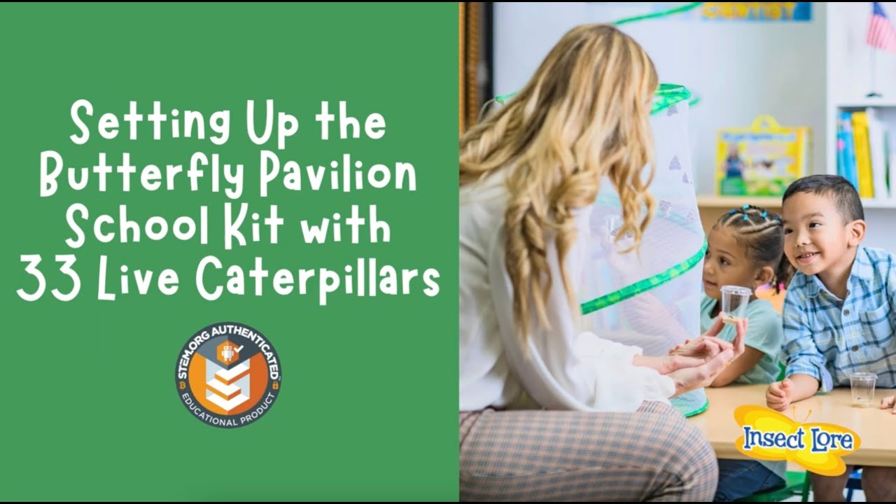 Insect Lore's Butterfly Pavilion School Kit Unboxing for Teachers