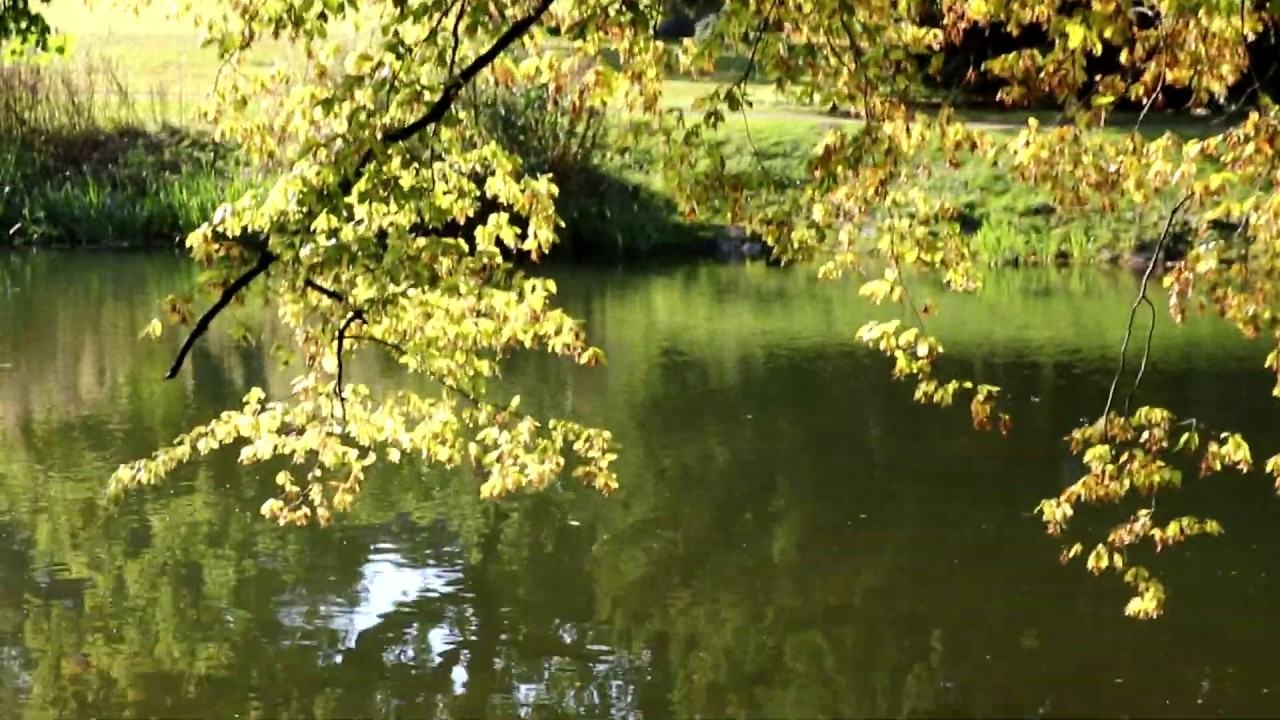 5. oktober 2019 Næstved - Herlufsholm, Herlufsholmskoven (Rådmandshave)