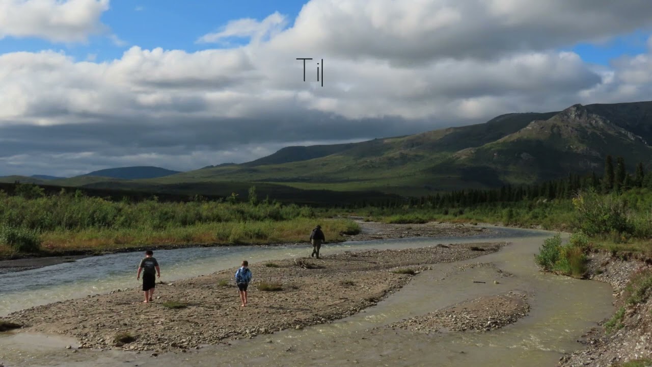 Savage River Campground -Denali National Park