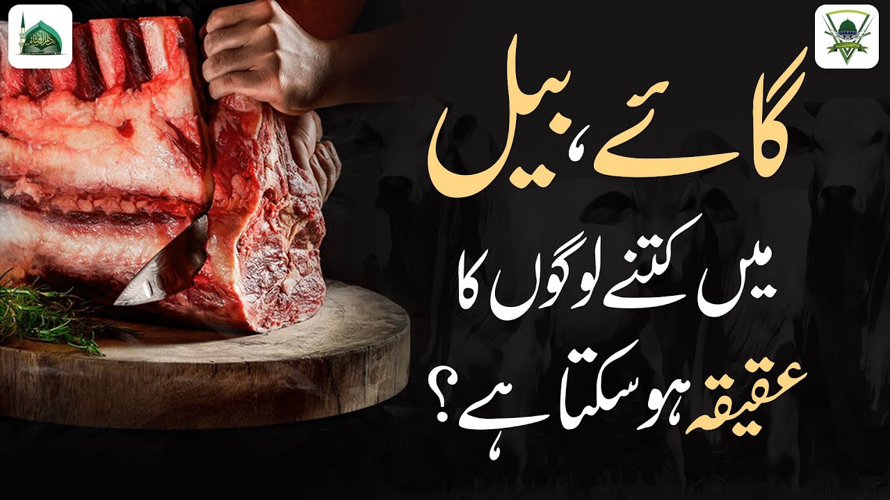 Bare Janwar Me Kitne Logo Ka Aqeeqah Ho Sakta Hai? | Cow Me Aqeeqa Karna | Darulifta Ahlesunnat
