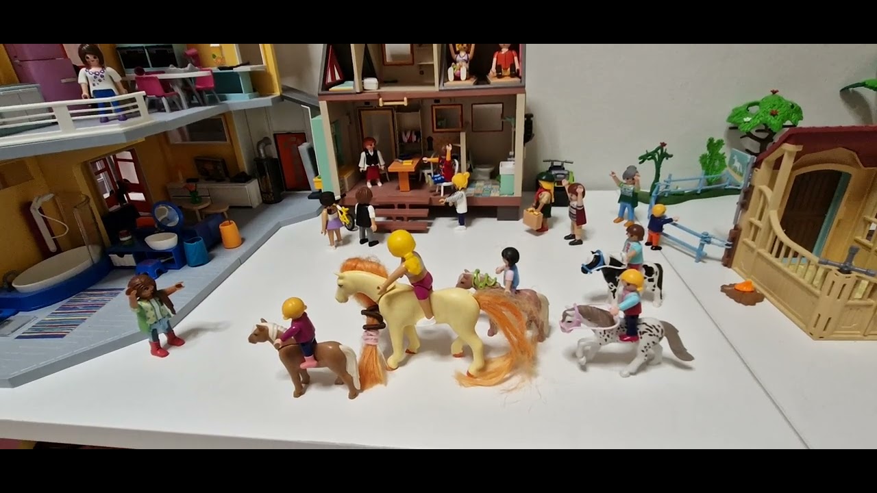 Μάθημα ιππασίας playmobil 