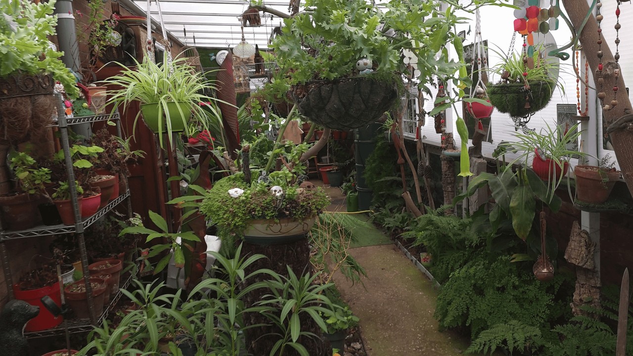 2026 February 18th GC52B