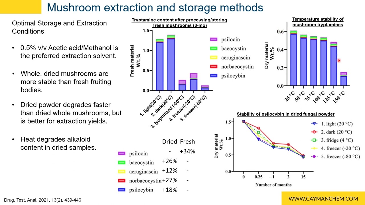 The Magic and Chemistry Behind Psychedelic Mushrooms