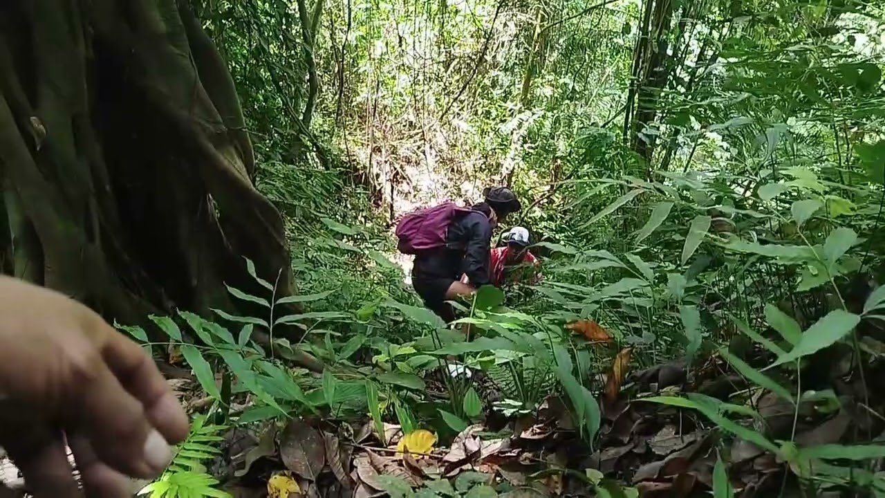 Hiking to 21falls part 14 senator ninoy Aquino sultan kudarat.#kalamigsna