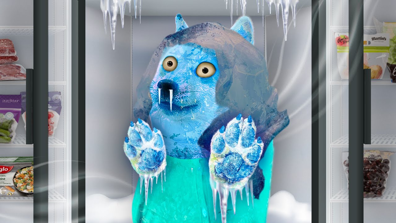 Её нашли в морозильнике ❄️