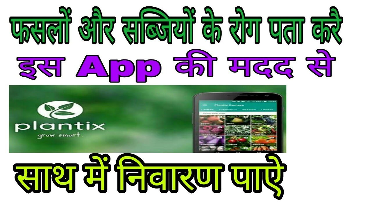 Plantix App for farmers in hindi हिन्दी for android smartphones |full Review, how to use plantix app