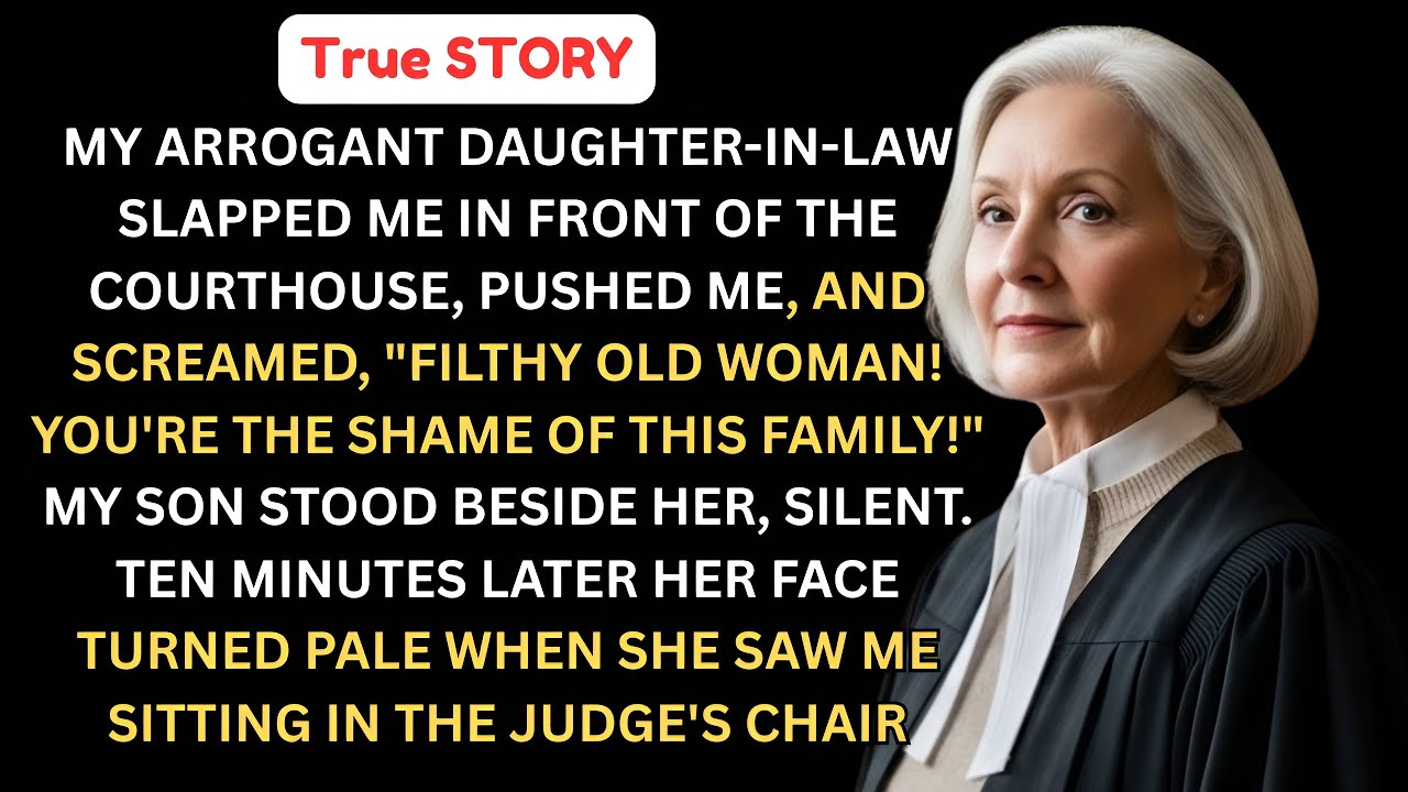 My Daughter-In-Law Smirked And Slapped Me Outside The Court… Until I Sat In The Judge’s Chair.